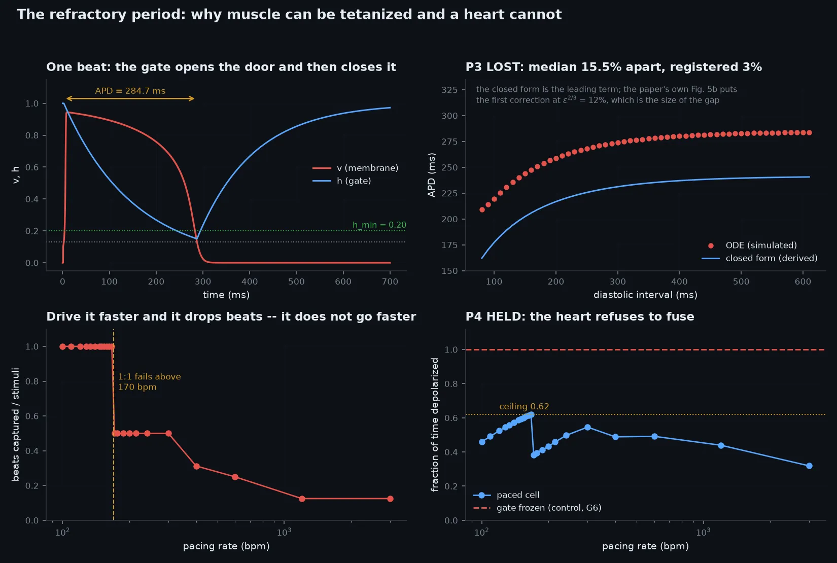Four panels: a voltage trace and a gate curve over 700 milliseconds; red dots above a blue curve, both rising with rest interval; a step from 1.0 to 0.5 at 170 beats per minute; and a blue curve peaking at 0.62 under a dashed red line at 1.0.