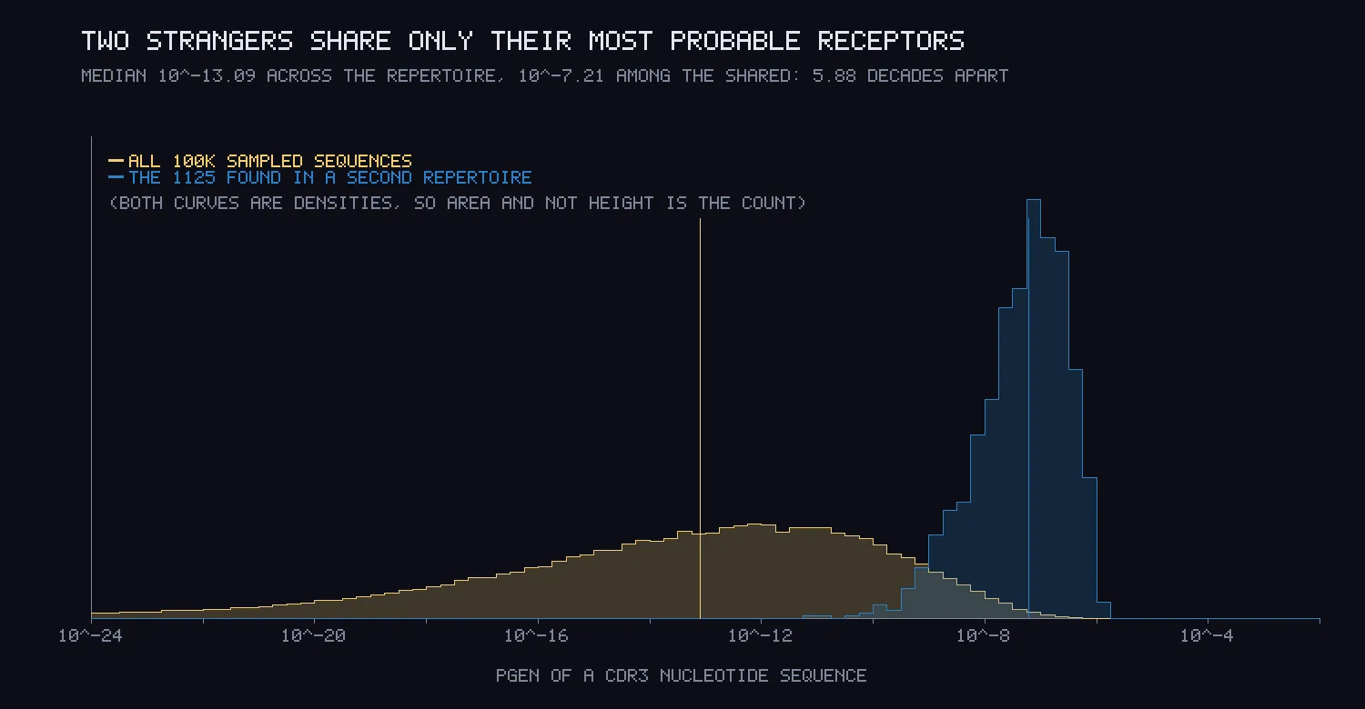 Two histograms on a log axis of generation probability. A broad low yellow hump centred near 10 to the minus 13, and a tall narrow blue peak near 10 to the minus 7.