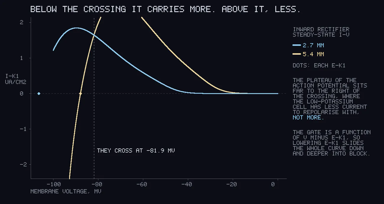 Two current-voltage curves. The light blue low-potassium curve peaks near minus 90 millivolts and falls toward zero. The yellow normal-potassium curve rises steeply and stays above it everywhere to the right of a crossing marked at minus 81.9 millivolts.