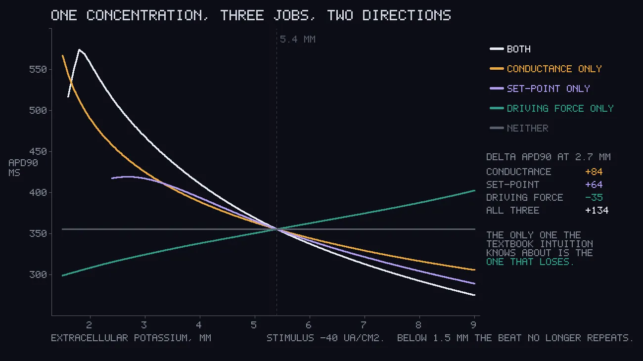 Action potential duration against extracellular potassium, with the concentration's three separate effects plotted apart: two lengthening the beat, one shortening it.