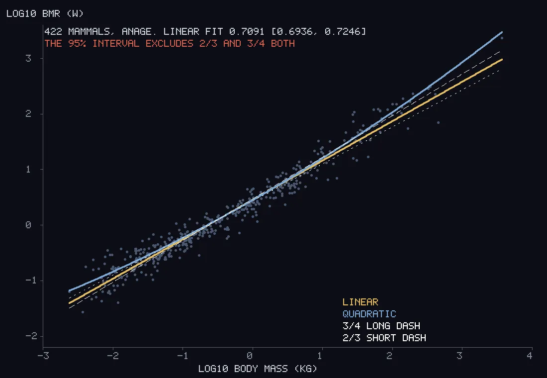 A rising cloud of grey dots from a few grams to a few tonnes, with a yellow straight line through it, a blue curve that bends upward at both ends, and two thin dashed reference lines.