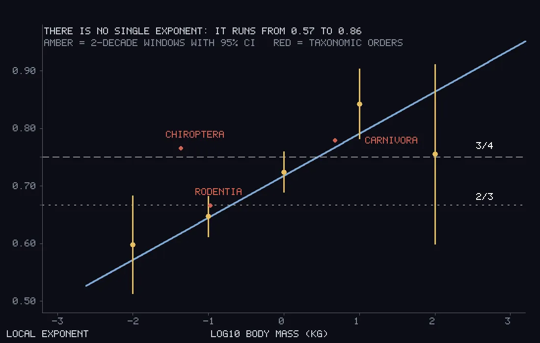 Local metabolic scaling exponent against body mass: two-decade windows with confidence intervals, three taxonomic orders, and the curve implied by a quadratic fit, crossing both the 2/3 and 3/4 reference lines.